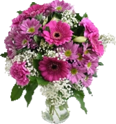 Rosas rosadas