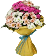 Vela para angelit@s
